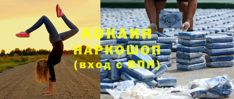 Cocaine FishScale  купить   Новоузенск 