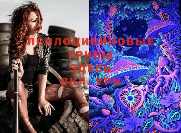 PSILOCYBIN Нея
