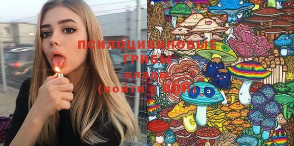 PSILOCYBIN Нея