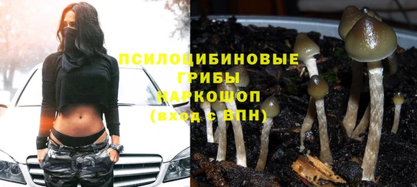 прущая мука Нефтекумск