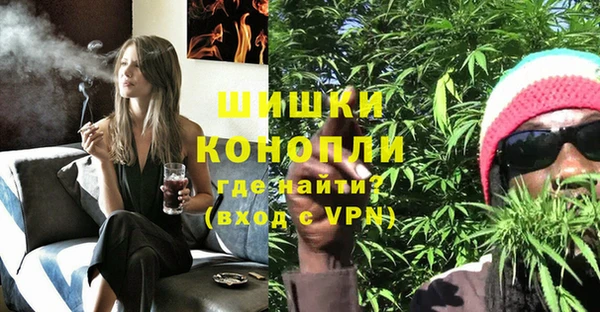 PSILOCYBIN Нея